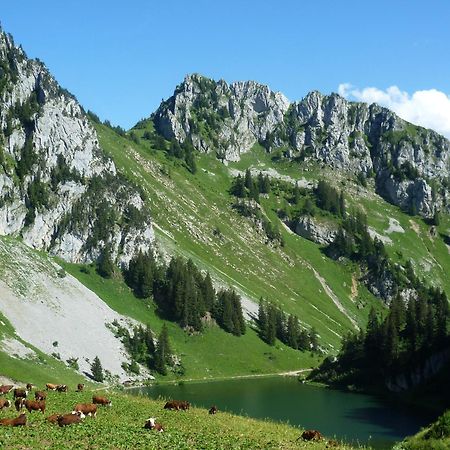 Chalet Familial Authentique Et Spacieux 2 Chambres 4 A 6 Personnes Avec Parking Proche Des Remontees Abondance Zewnętrze zdjęcie